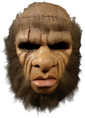 Frankenstein And The Monster From Hell Mask - Frankenstein And The Monster From Hell Mask - Collectibles