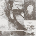 Jiha,park - All Living Things - Music CD