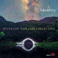 Lin,peter - Aapi Jazz Collective: Identity - Music CD