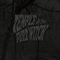 Temple Of The Fuzz Witch - Temple Of The Fuzz Witch - Vinyl Record