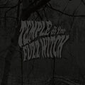 Temple Of The Fuzz Witch [LP] Vinyl Record