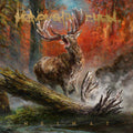 Heimat (Uk) Music CD