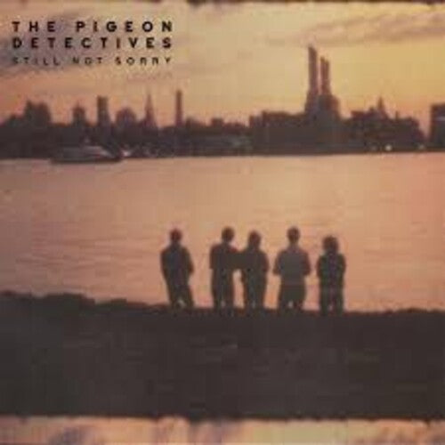 Pigeon Detectives - Still Not Sorry - Vinyl Record