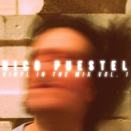 Puestel,rico - Vinyl In The Mix Vol 1 - Music CD