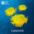 Cardume - Cardume - Vinyl Record