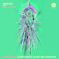 Expansions - 45 Edit / Everybody Loves The [7" Vinyl] Vinyl Record