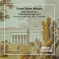 Staemmler / Cantoreggi - Pno Quartet Op. 1 Violin Sons Opp. 7 & 15 - Music CD