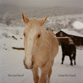 Last Revel - Gone For Good - Music CD