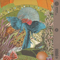 Sofatalk - Soul's Code - Vinyl Record