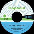You Can't Blame Me B/W You're All I Need to Make It [7" Vinyl] Vinyl Record