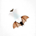 Echolocation [LP] Vinyl Record