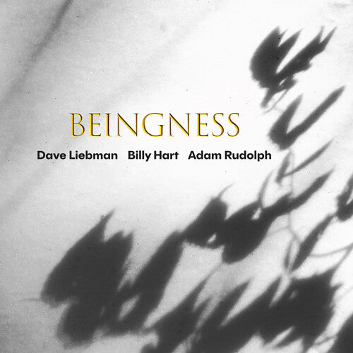 Liebman,dave / Hart,billy / Rudolph,adam - Beingness - Music CD