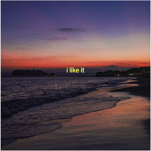 Jp The Wavy - I Like It (feat. Yo-sea Lex & Io) - Vinyl Record