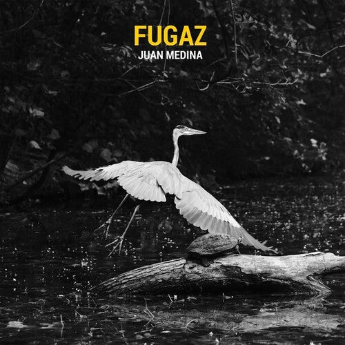 Medina,juan - Fugaz - Music CD