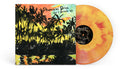Phoenician Drive - Live In Brussels '23 - Vinyl Record