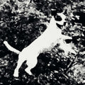 Edmondson - Azura - Vinyl Record