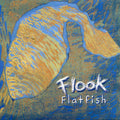 Flook - Flatfish - Music CD