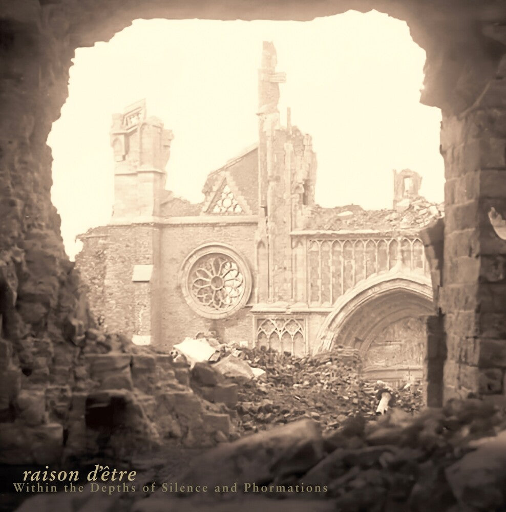 Within The Depths Of Silence And Phormations [LP] Vinyl Record