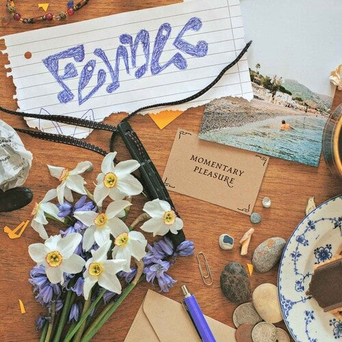 Fennec - Momentary Pleasure - Vinyl Record