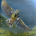 Wildwoods - Dear Meadowlark [LP]