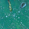 Peter Chilvers - Dust 1 (10in) [LP]