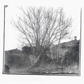 Amini,siavash - Caligo - Music CD
