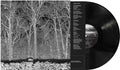 Pile - Sunshine & Balance Beams - Vinyl Record
