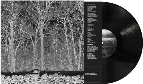 Pile - Sunshine & Balance Beams - Vinyl Record