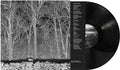 Pile - Sunshine & Balance Beams [LP]