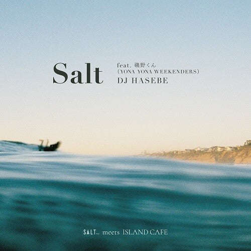 Dj Hasebe - Salt Feat. Isono-kun (yona Yona Weekenders) - Vinyl Record