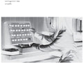 Amosphere - Cosmogonical Ears - Vinyl Record