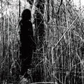 Today I Wrote Nothing (10 Year Anniversary) (Aniv) Music CD
