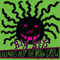 Big Boys - Lullabies Help The Brain Grow - Vinyl Record