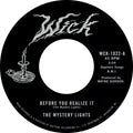 Mystery Lights - Before You Realize It / Cerebral Crack - Vinyl Record