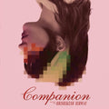 Hrishikesh Hirway - Companion - O.S.T. [LP]