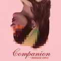 Hirway,hrishikesh - Companion - O.s.t. - Vinyl Record