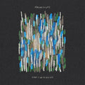 Blame It On The Weather (Blue) [Colored Vinyl] Vinyl Record