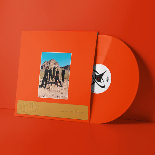 Leisure - Welcome To The Mood - Vinyl Record