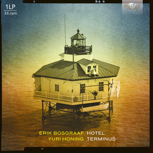 Bosgraaf,erik - Hotel Teminus - Vinyl Record