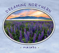 Masako - Dreaming Northern - Music CD