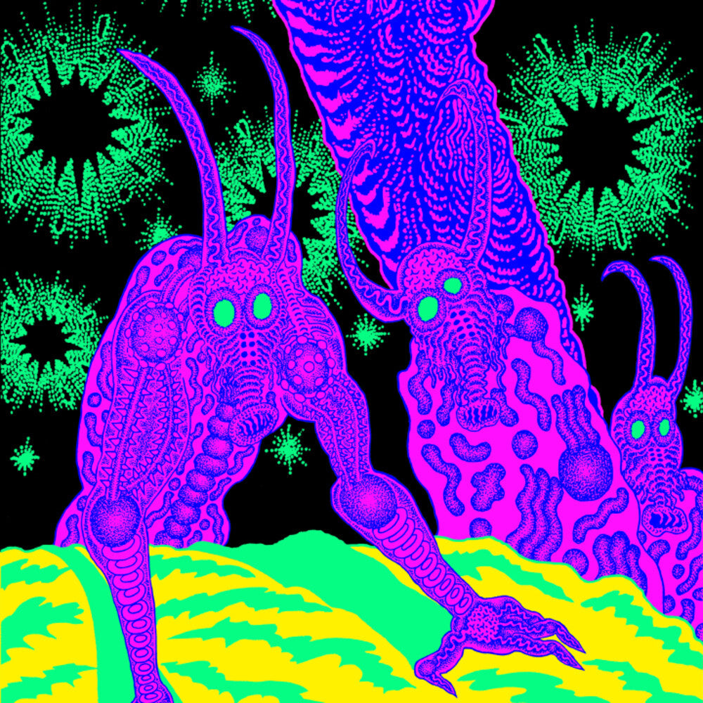 Osees - Abomination Revealed At Last [LP]