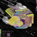 Endlings - Parallel 03 - Vinyl Record