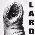 Power Of Lard - White [LP] Vinyl Record