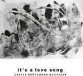 It's A Love Song [LP] Vinyl Record