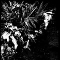 Orchid Alto [LP] Vinyl Record