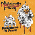 Nuclear Fear - Pantomime Of Power - Vinyl Record