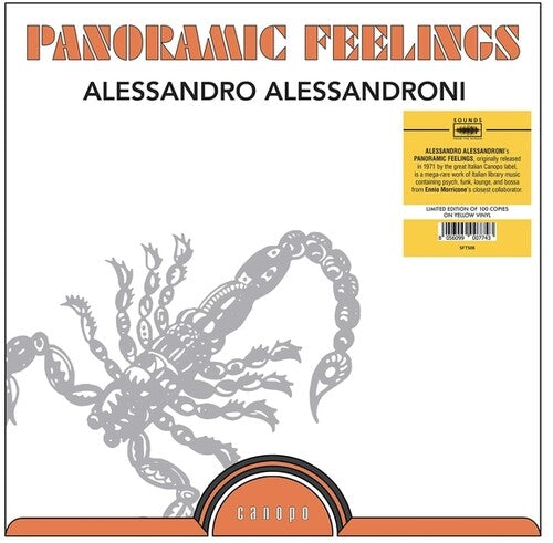 Alessandroni,alessandro - Panoramic Feelings - Vinyl Record