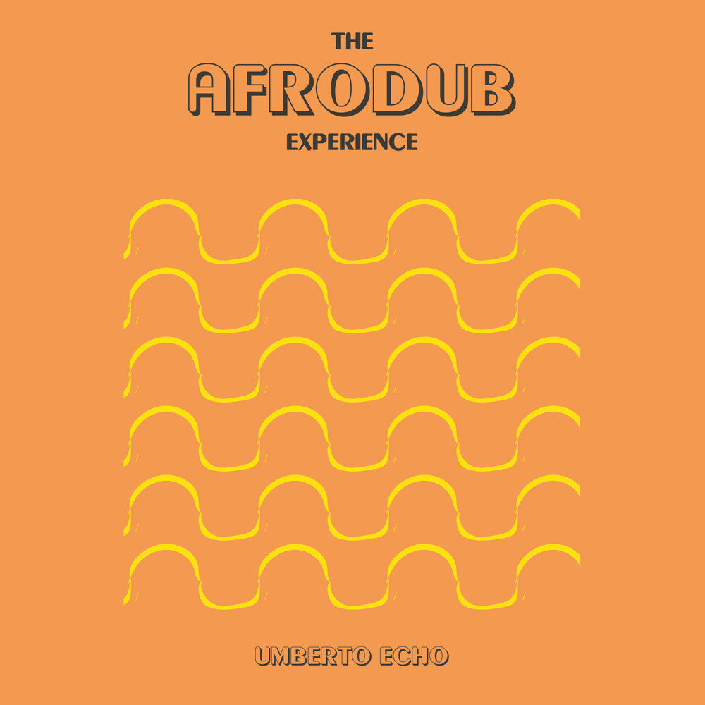 The Afrodub Experience Music CD