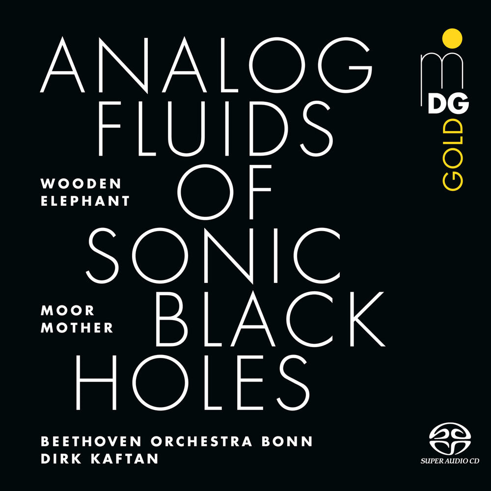 Moor Mother - Analog Fluids Of Sonic Black Holes [CD]