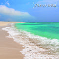 Beach Of The Pliocene [LP] Vinyl Record